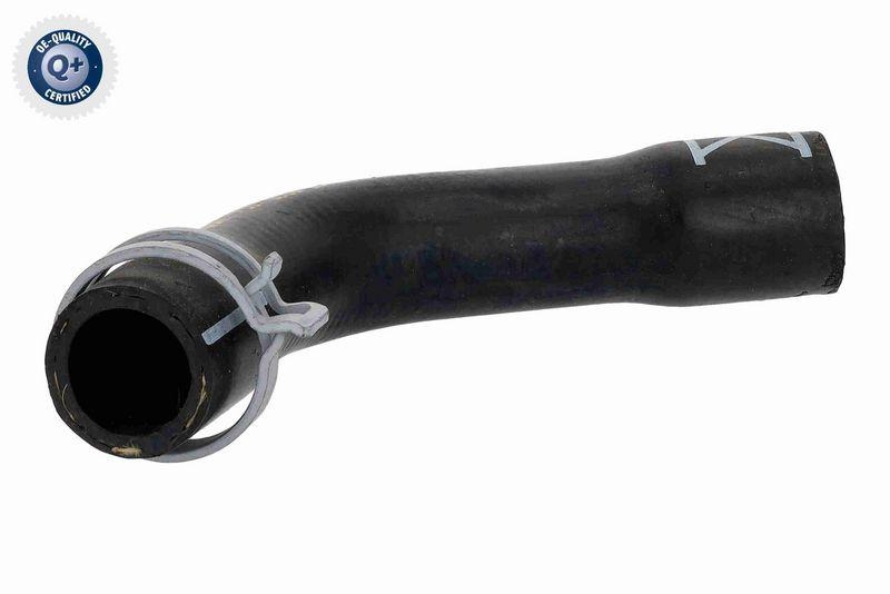 VAICO K&uuml;hlerschlauch Q+, Erstausr&uuml;sterqualit&auml;t