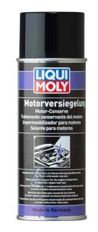 LIQUI MOLY Motorglanzlack Motorversiegelung