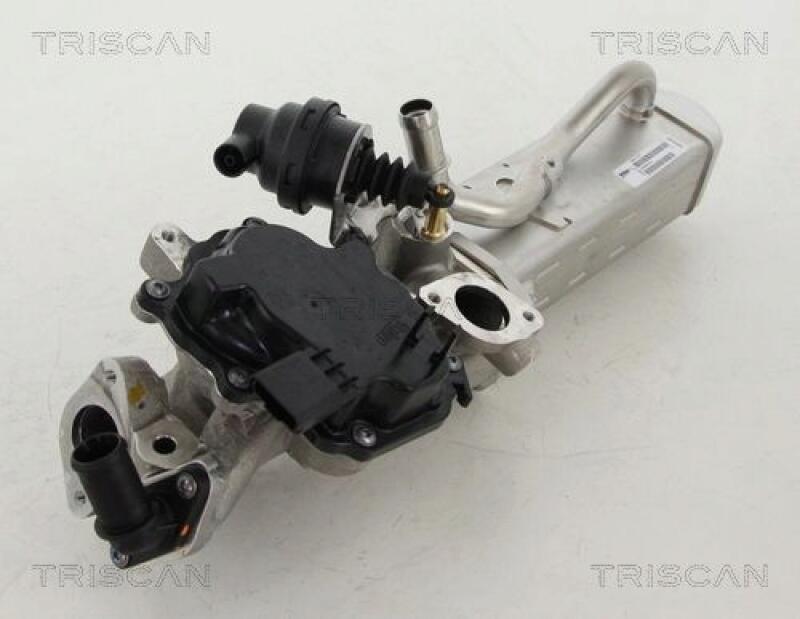 TRISCAN EGR Valve