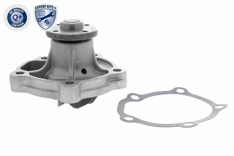 ACKOJA Water Pump, engine cooling EXPERT KITS +