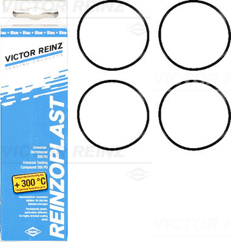 VICTOR REINZ Gasket Set, cylinder head cover