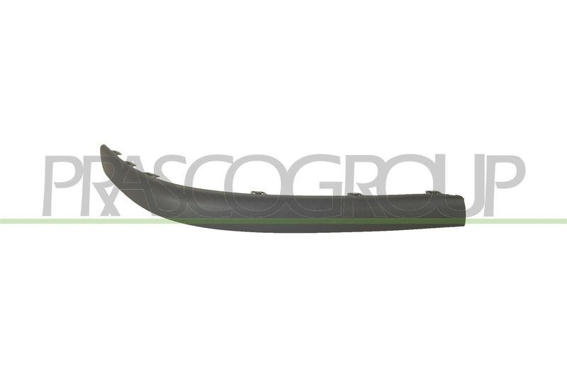 Trim/Protective Strip, bumper