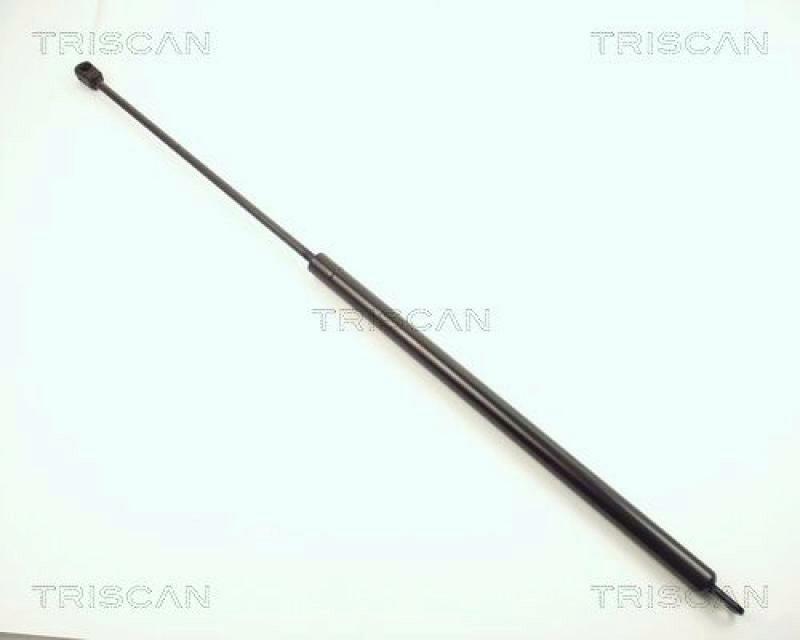 TRISCAN Gas Spring, bonnet