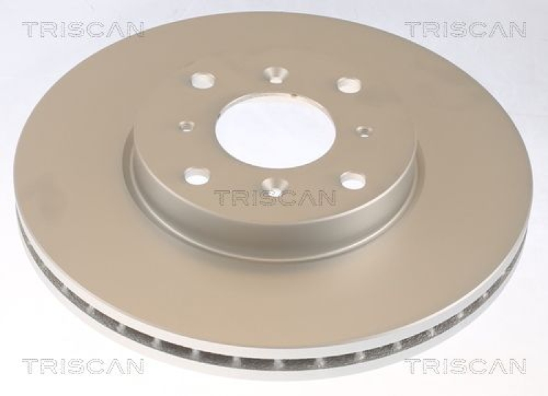 2x TRISCAN Brake Disc