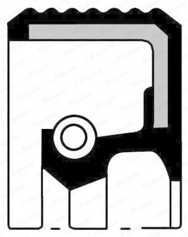 PAYEN Wellendichtring, Differential