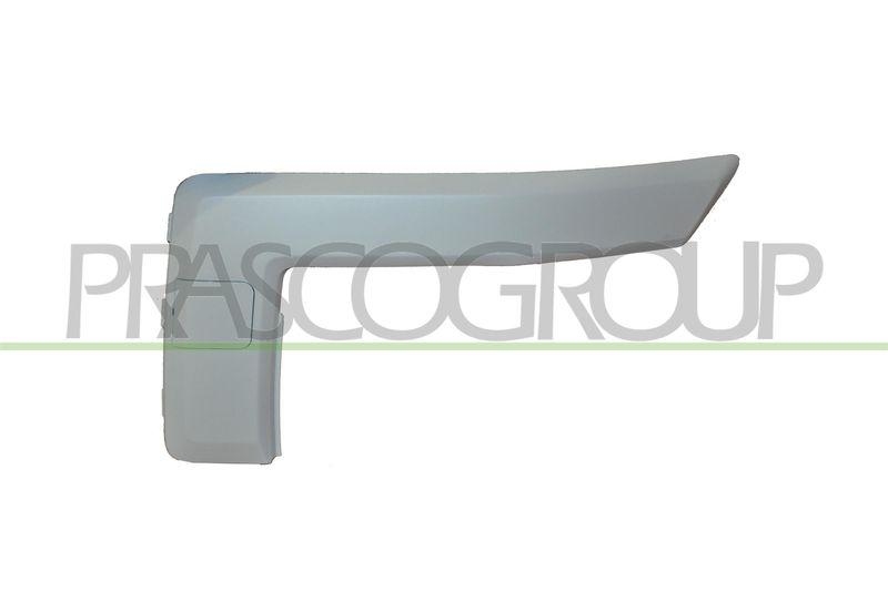 Trim/Protective Strip, bumper