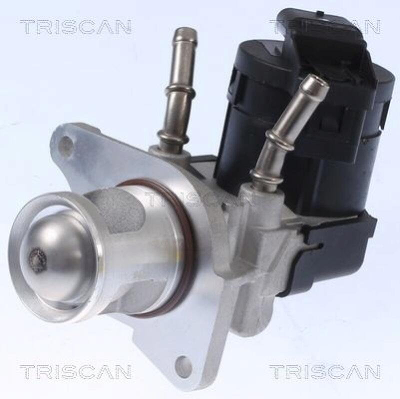 TRISCAN AGR-Ventil 8813 11001