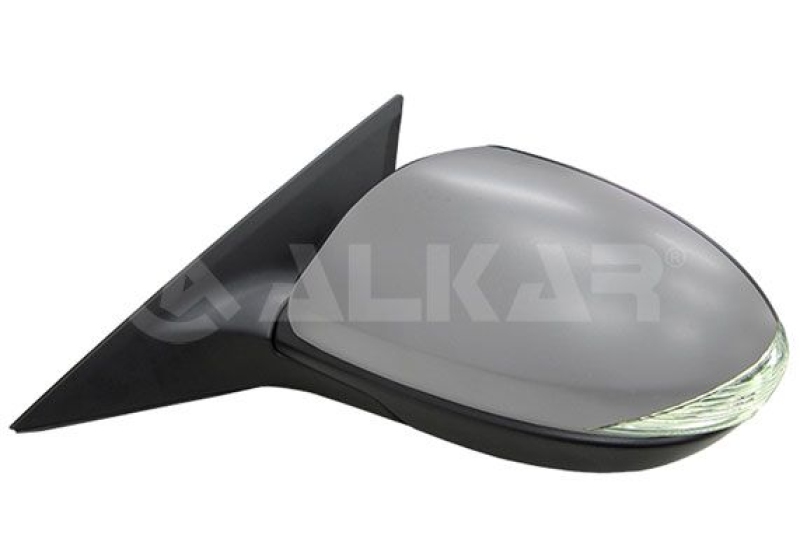 Exterior Mirror