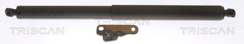 TRISCAN Gasfeder, Koffer-/Laderaum 871023303