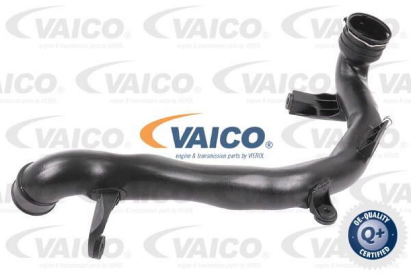 VAICO Ladeluftschlauch Q+, Erstausr&uuml;sterqualit&auml;t V10-6496