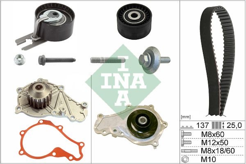 INA Water Pump & Timing Belt Set