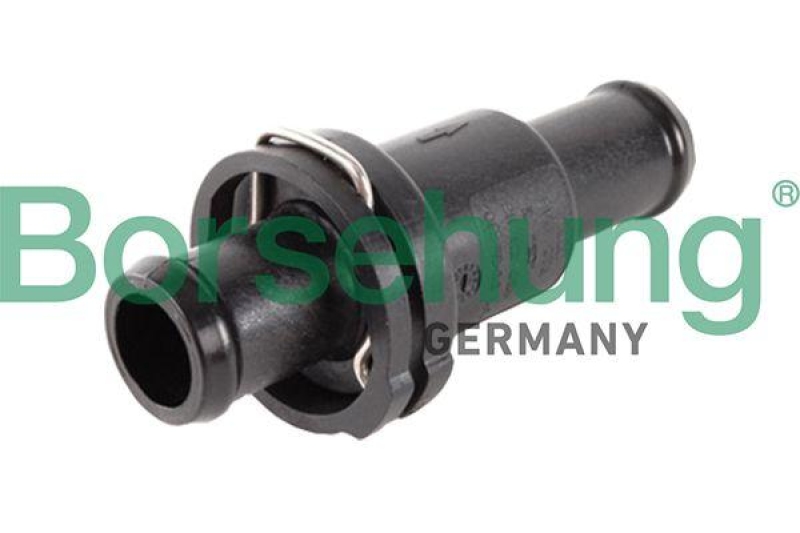 Borsehung Thermostat, coolant