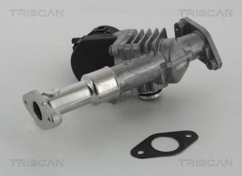 TRISCAN EGR Valve