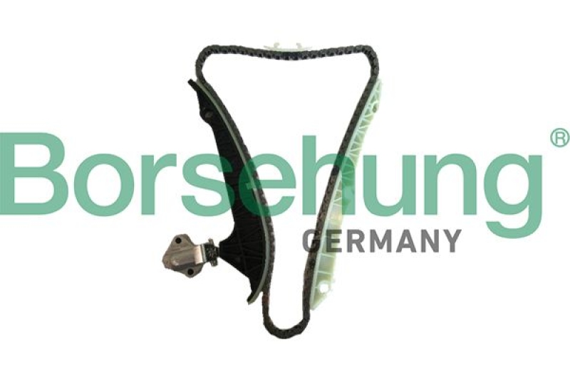 Borsehung Timing Chain Kit