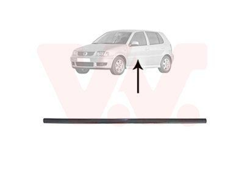 VAN WEZEL Trim/Protective Strip, door