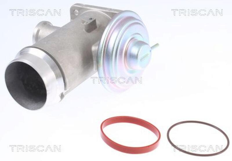 TRISCAN EGR Valve