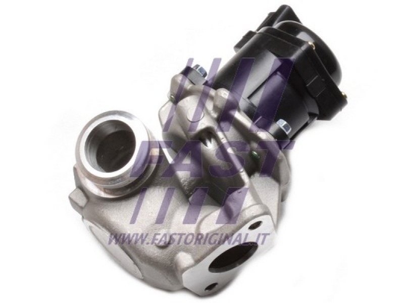 FAST AGR-Ventil FT60240
