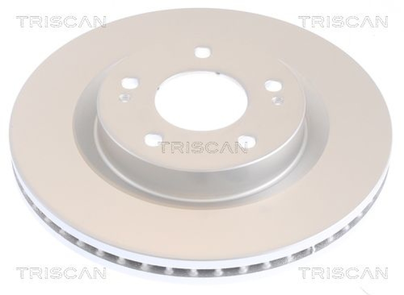 2x TRISCAN Brake Disc