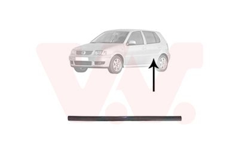 VAN WEZEL Trim/Protective Strip, door