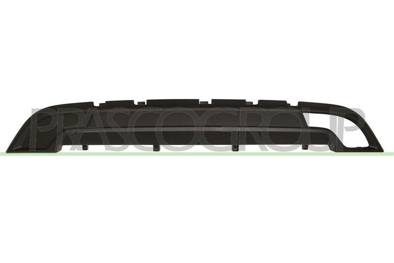 Trim/Protective Strip, radiator grille