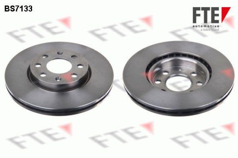 2x FTE Brake Disc