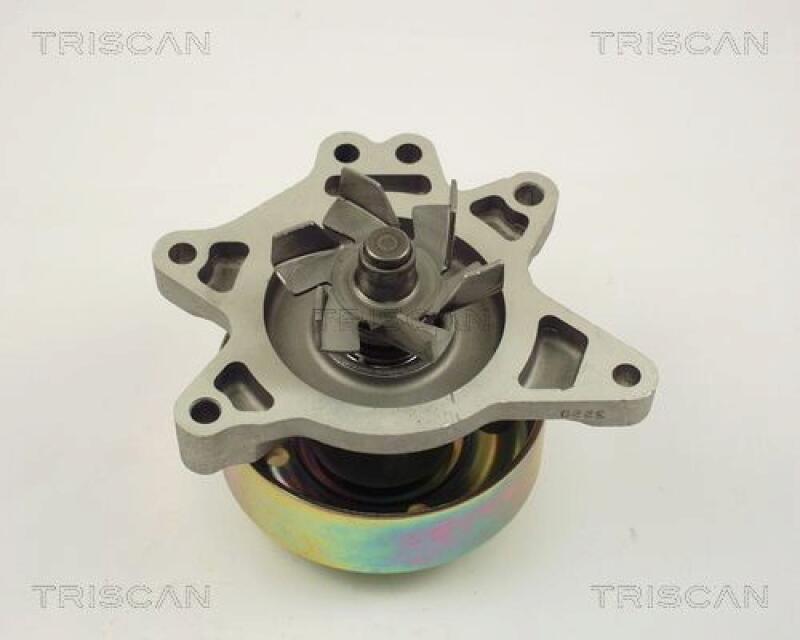 TRISCAN Wasserpumpe 8600 13017