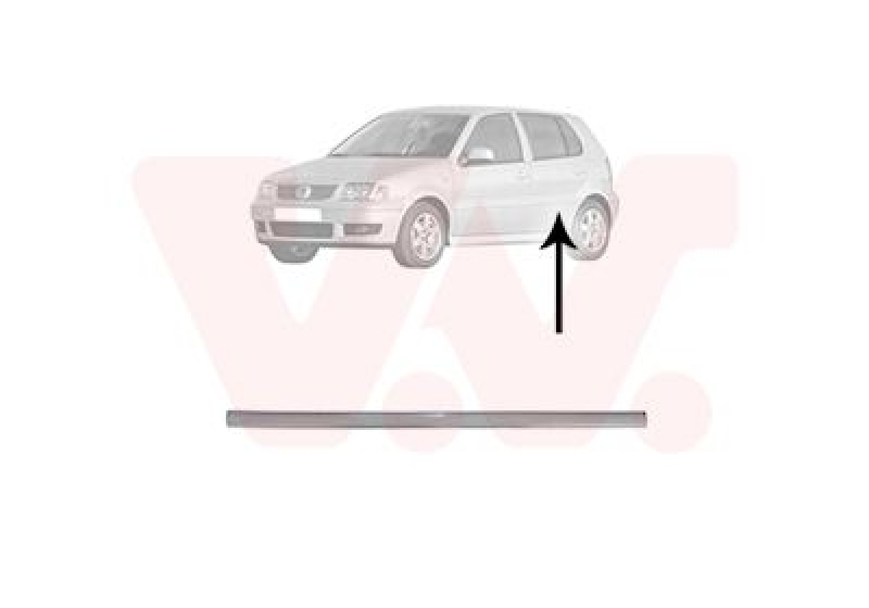 VAN WEZEL Trim/Protective Strip, door