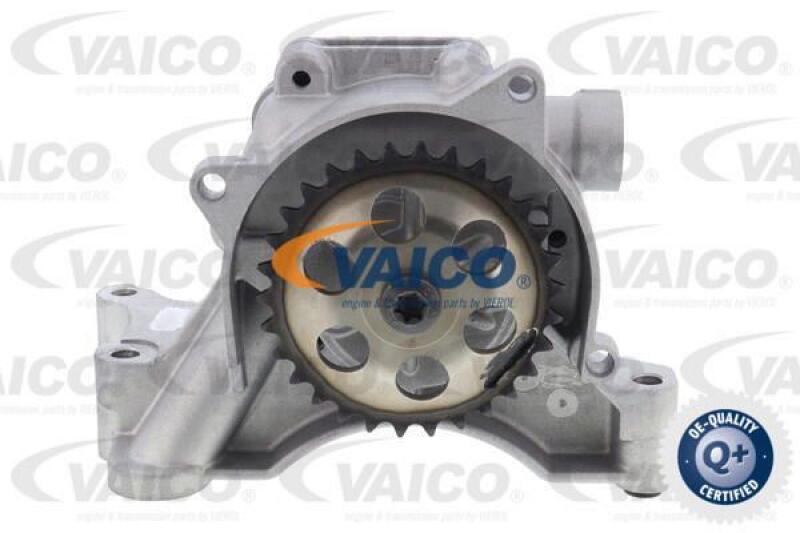 VAICO Oil Pump Q+, original equipment manufacturer quality