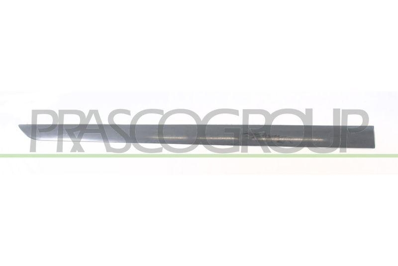 PRASCO Zier-/Schutzleiste, Tür