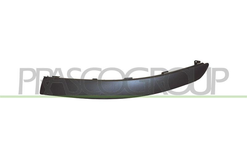 Trim/Protective Strip, bumper Premium