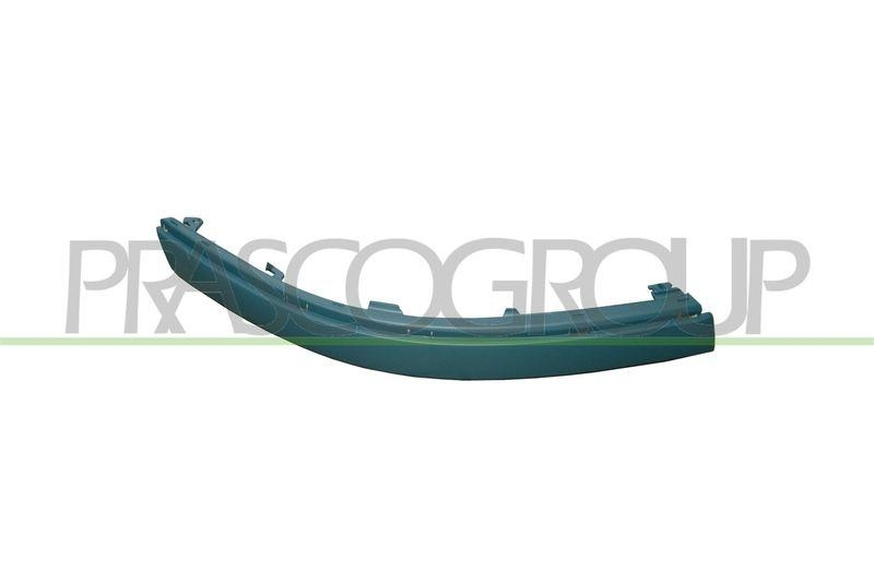 Trim/Protective Strip, bumper Premium