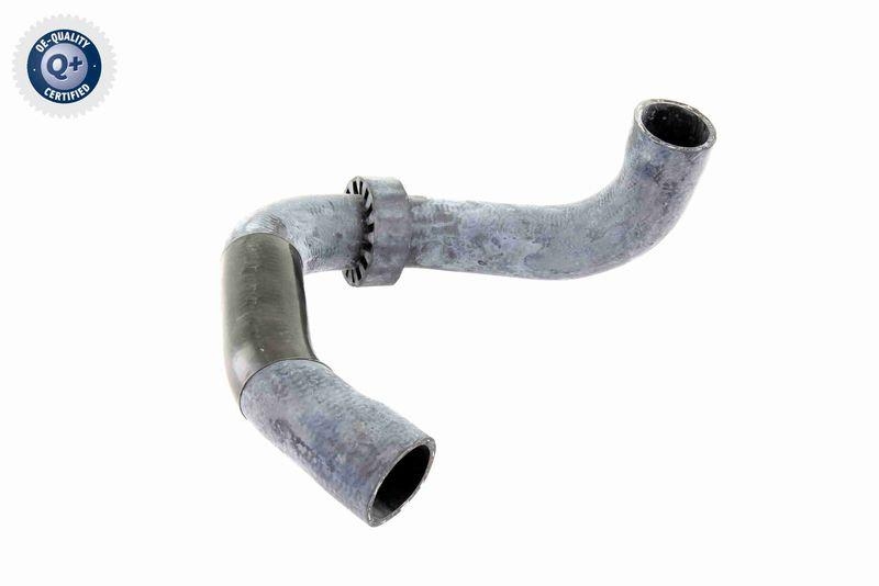 VAICO Kühlerschlauch Q+, Erstausrüsterqualität V30-2220