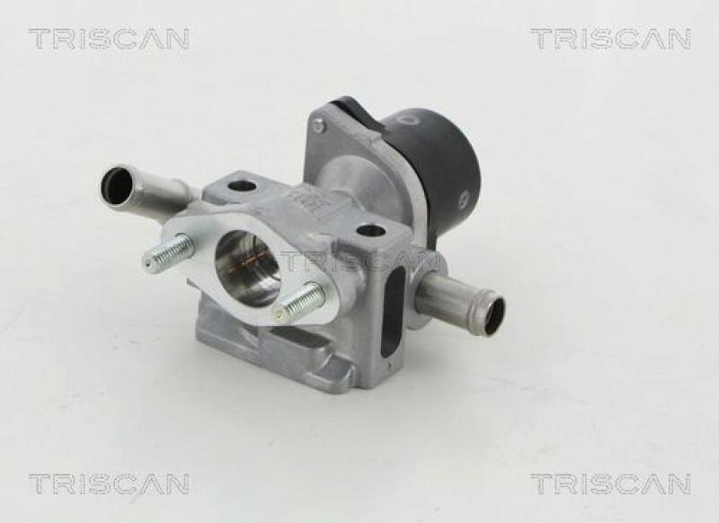 TRISCAN EGR Valve