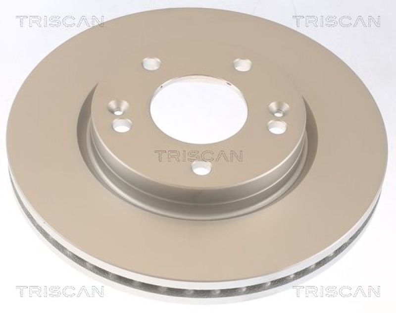 2x TRISCAN Brake Disc