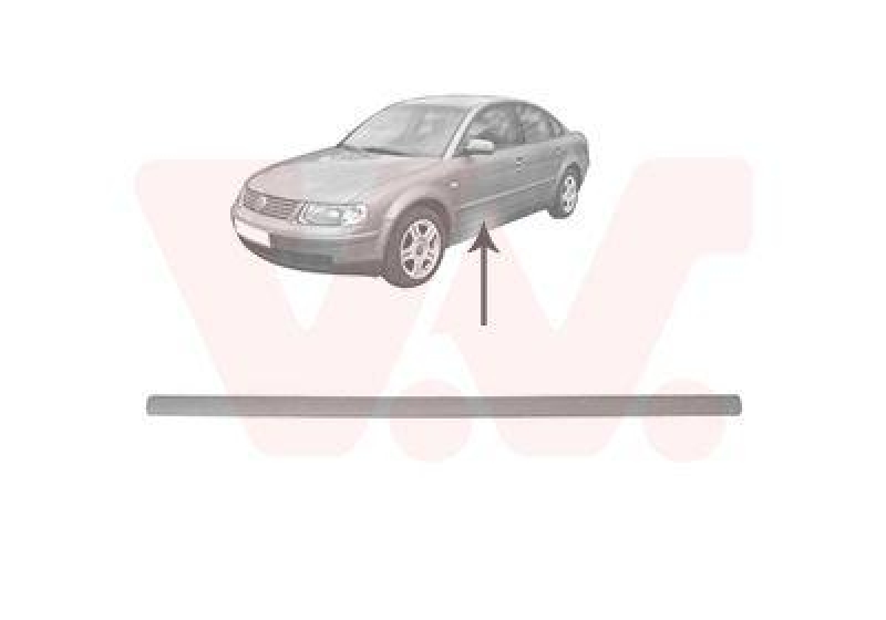 VAN WEZEL Trim/Protective Strip, door