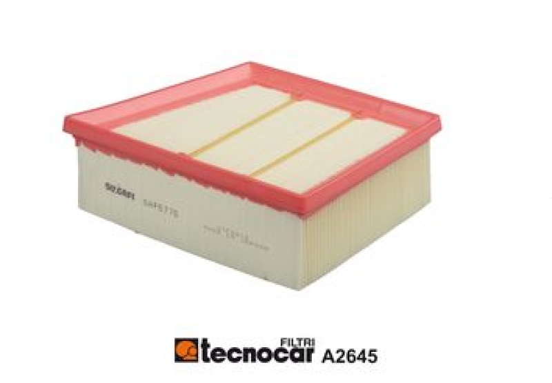 TECNOCAR Air Filter