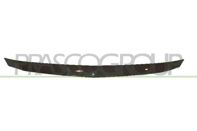 Trim/Protective Strip, radiator grille