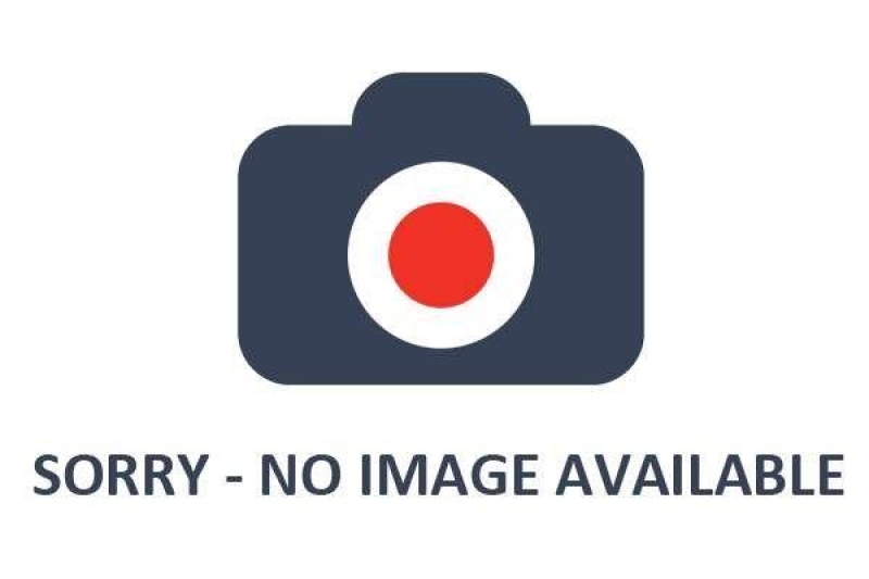 2x Bremsscheibe 313475