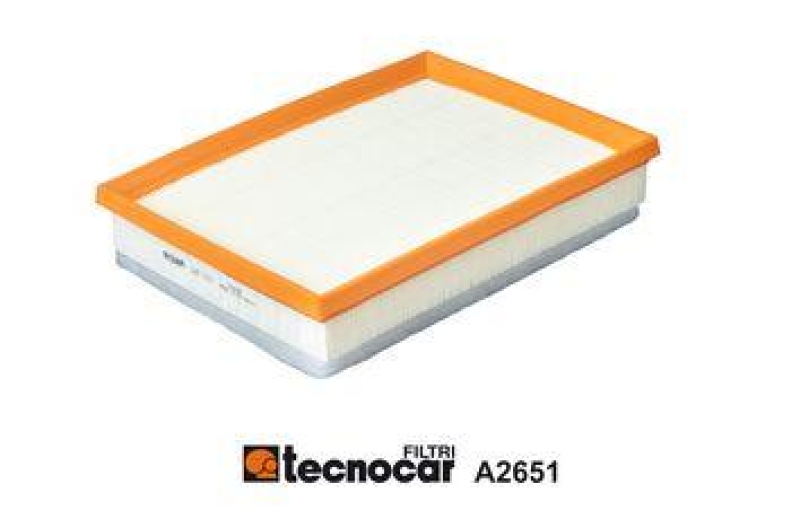 TECNOCAR Luftfilter A2651
