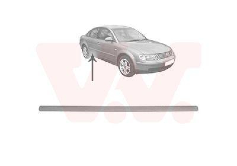 VAN WEZEL Trim/Protective Strip, door