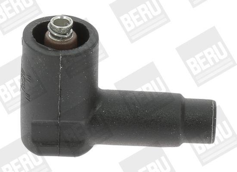 BERU by DRiV Plug, coil