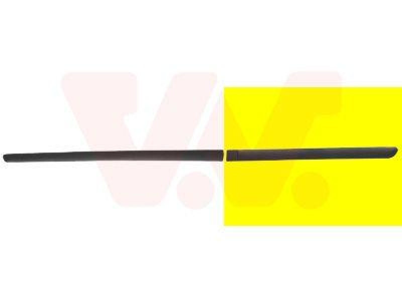 VAN WEZEL Trim/Protective Strip, door