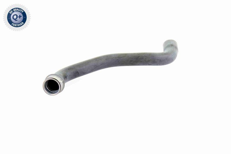 VAICO Radiator Hose Q+, original equipment manufacturer quality