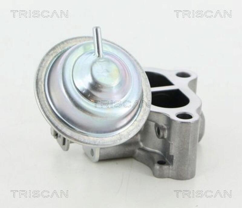 TRISCAN EGR Valve