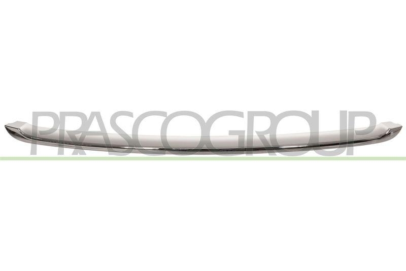 Trim/Protective Strip, radiator grille