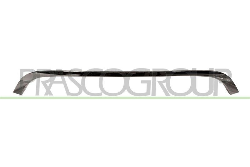 Trim/Protective Strip, radiator grille