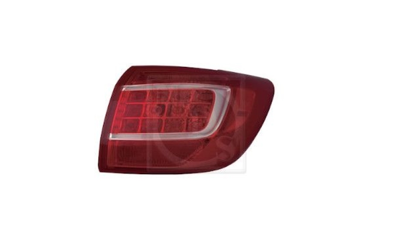 NPS Tail Light