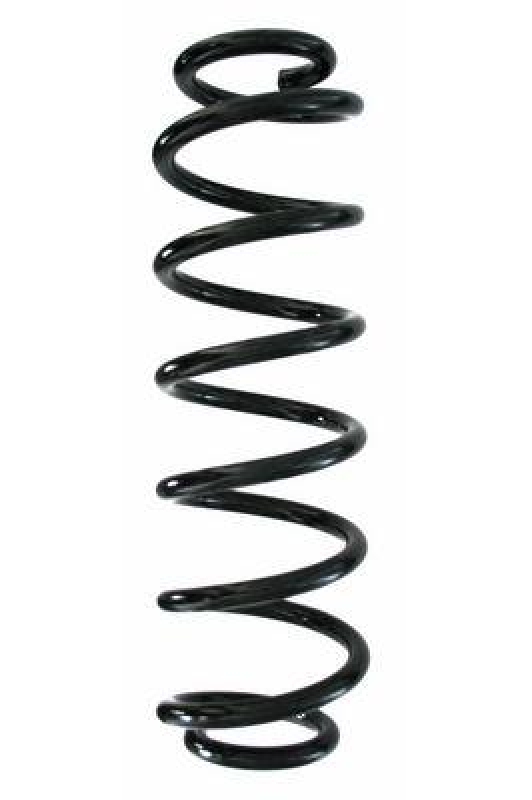SPIDAN Suspension Spring
