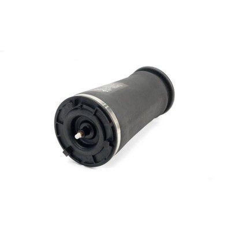 Arnott Air Spring, suspension