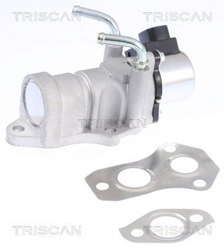 TRISCAN EGR Valve